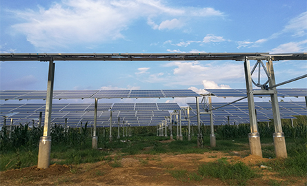 威尼斯电子游戏大厅