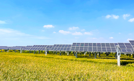 威尼斯电子游戏大厅