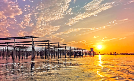 威尼斯电子游戏大厅